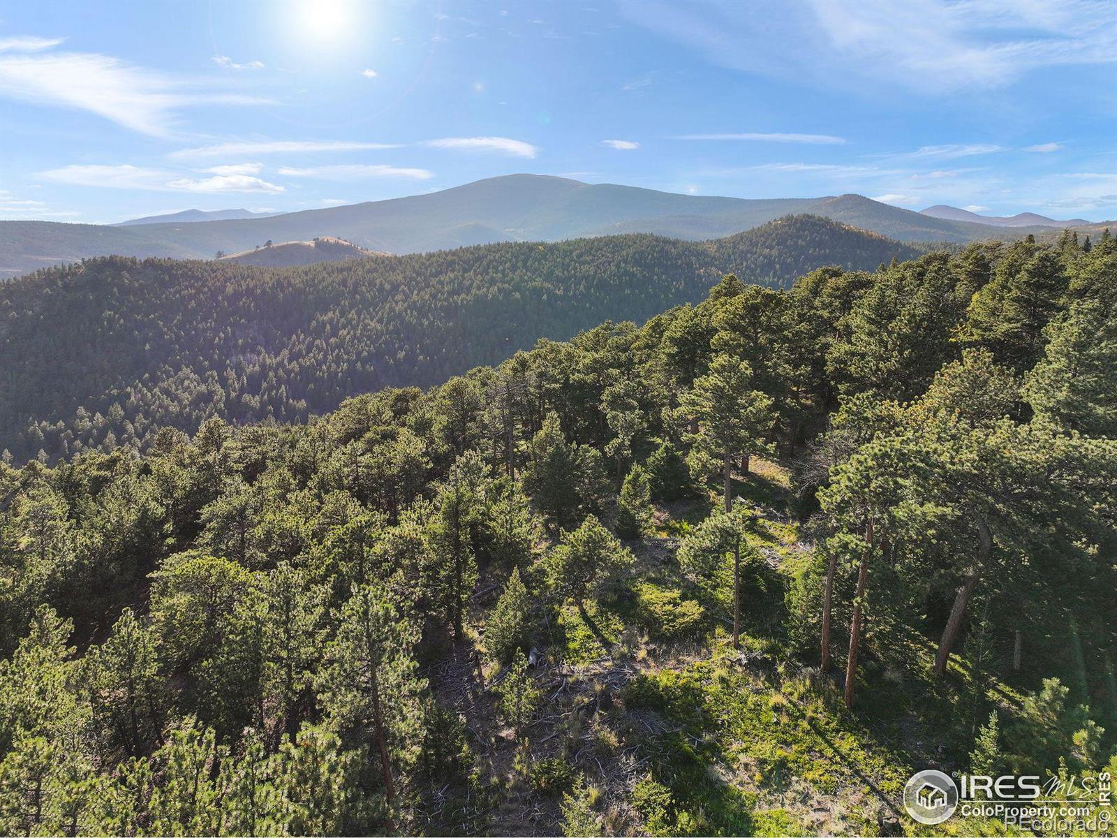 Indiana Gulch Road, Ward, CO 80481, ,Land,For Sale,Indiana Gulch,RECIR997587
