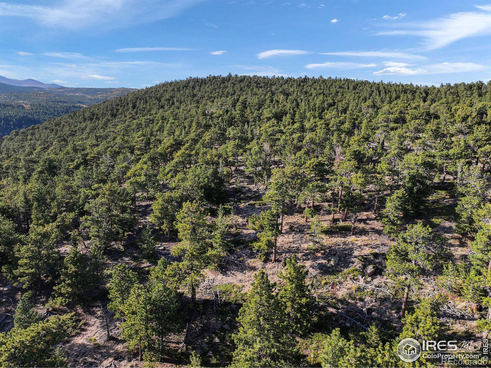 Indiana Gulch Road, Ward, CO 80481, ,Land,For Sale,Indiana Gulch,RECIR997587