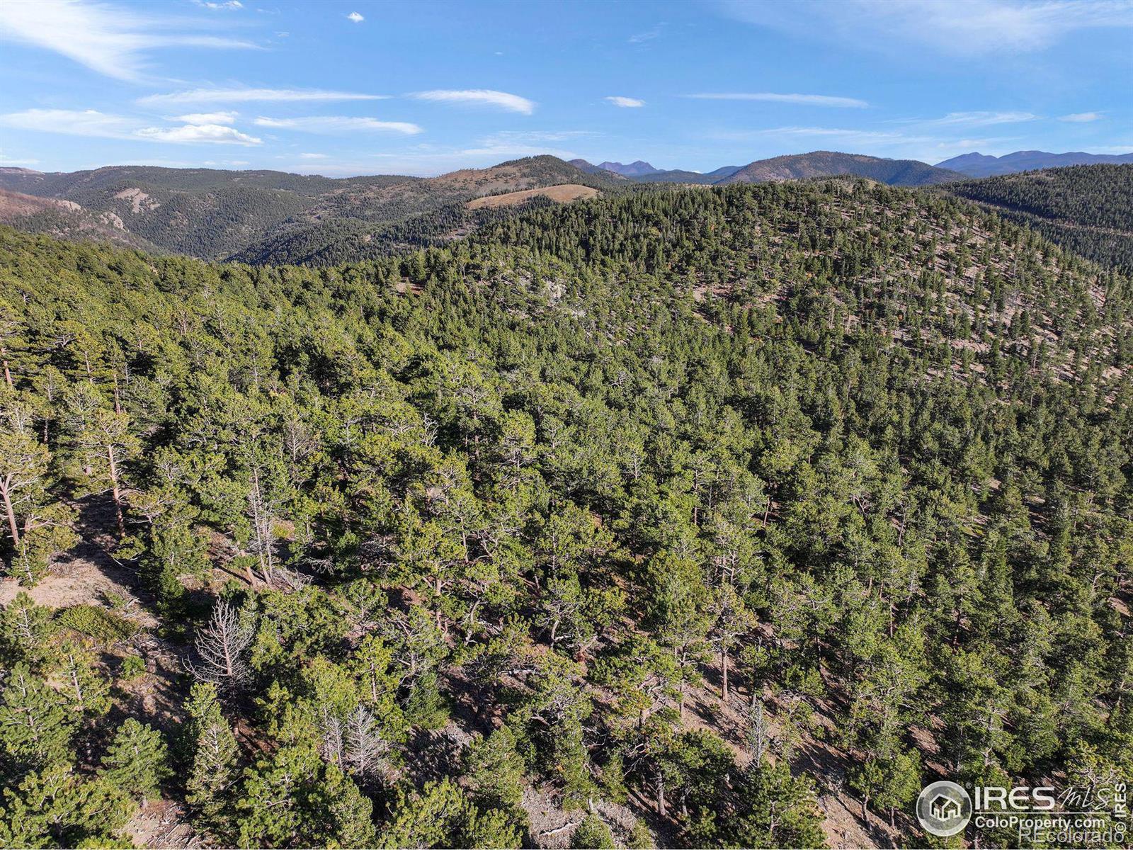 Indiana Gulch Road, Ward, CO 80481, ,Land,For Sale,Indiana Gulch,RECIR997587
