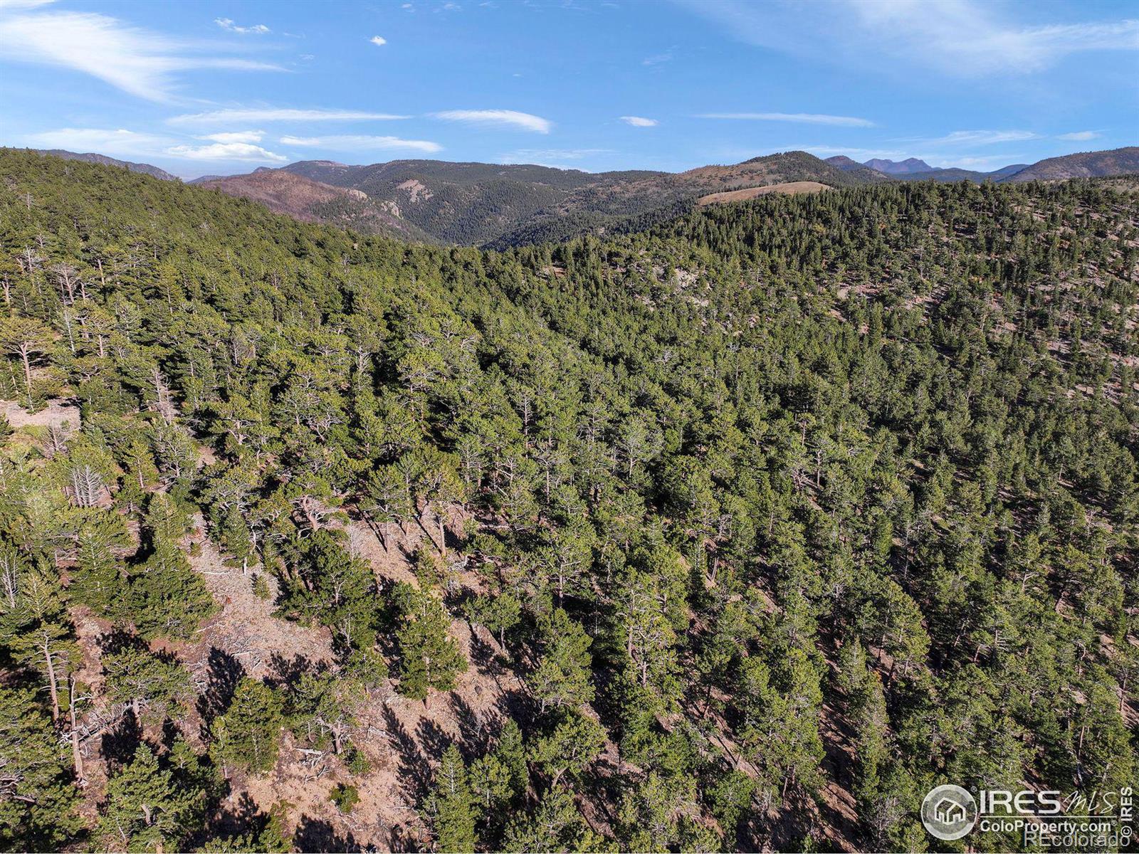 Indiana Gulch Road, Ward, CO 80481, ,Land,For Sale,Indiana Gulch,RECIR997587