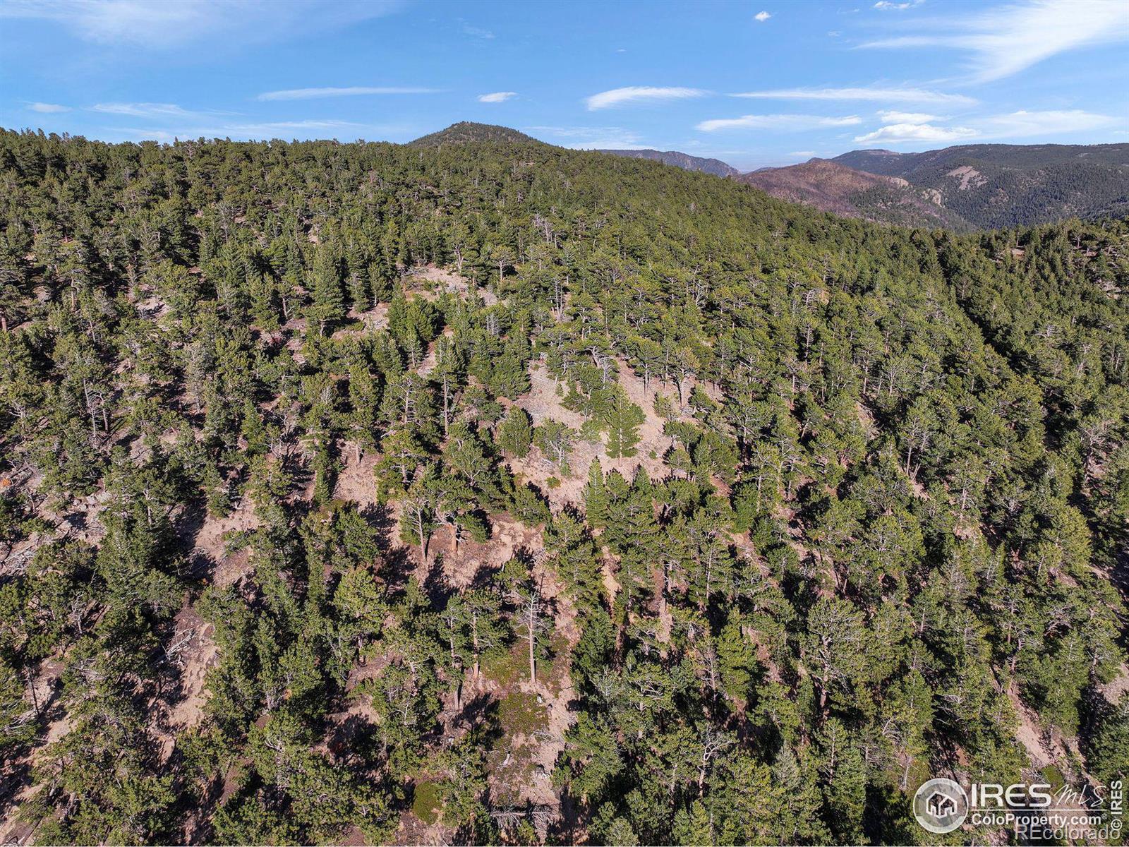 Indiana Gulch Road, Ward, CO 80481, ,Land,For Sale,Indiana Gulch,RECIR997587