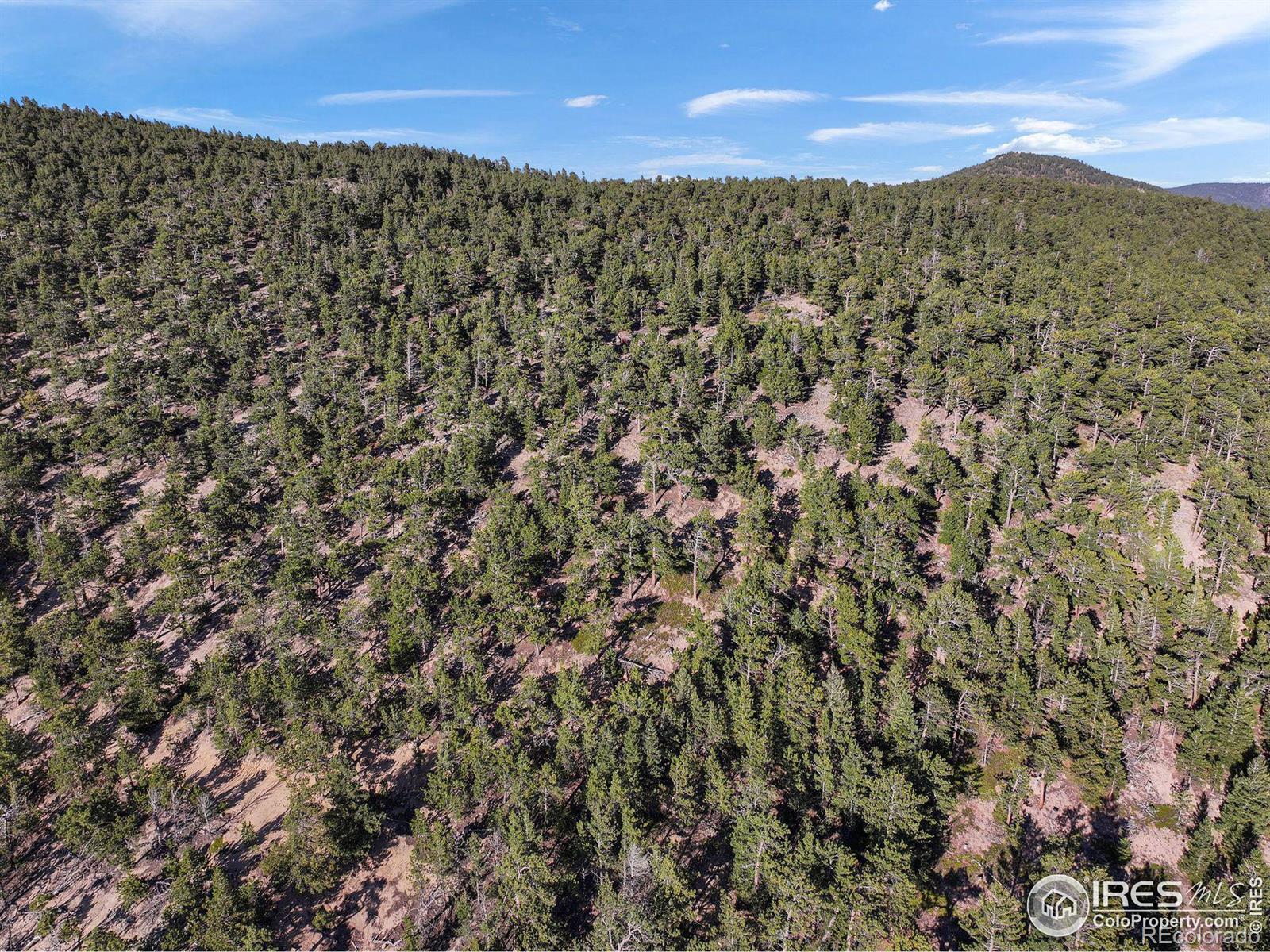 Indiana Gulch Road, Ward, CO 80481, ,Land,For Sale,Indiana Gulch,RECIR997587