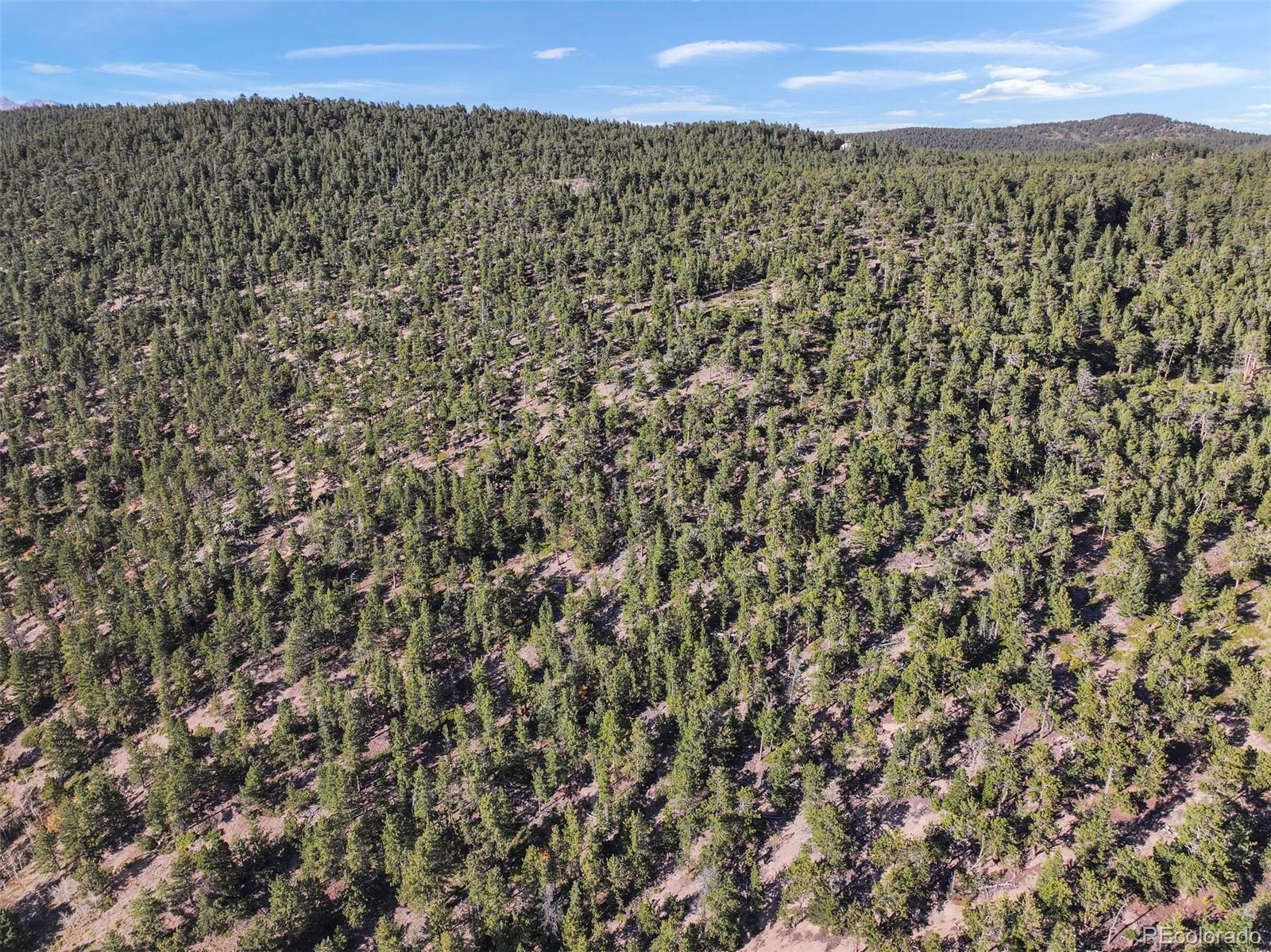 Indiana Gulch Road, Ward, CO 80481, ,Land,For Sale,Indiana Gulch,REC9490934