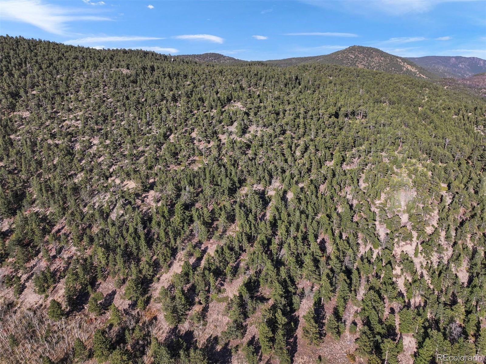 Indiana Gulch Road, Ward, CO 80481, ,Land,For Sale,Indiana Gulch,REC9490934