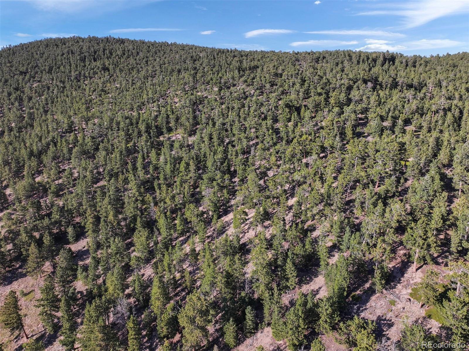 Indiana Gulch Road, Ward, CO 80481, ,Land,For Sale,Indiana Gulch,REC9490934