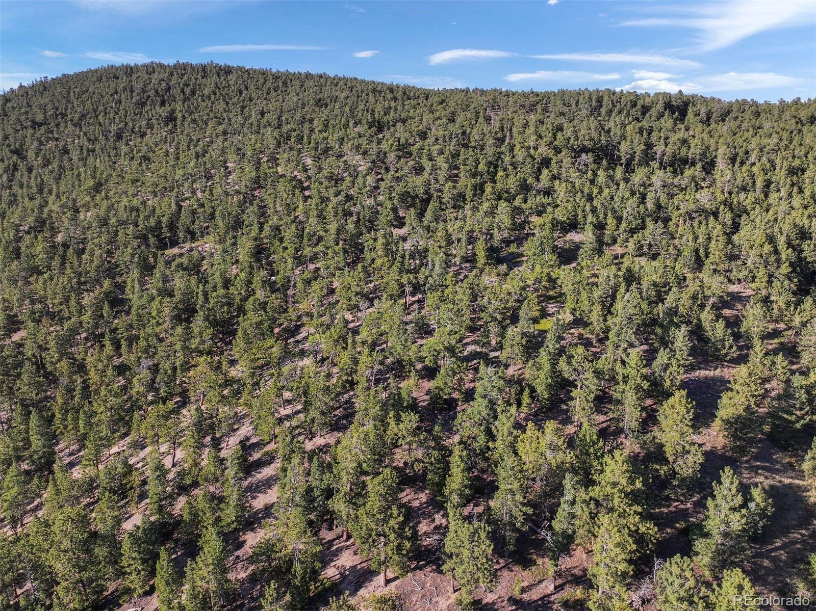 Indiana Gulch Road, Ward, CO 80481, ,Land,For Sale,Indiana Gulch,REC9490934