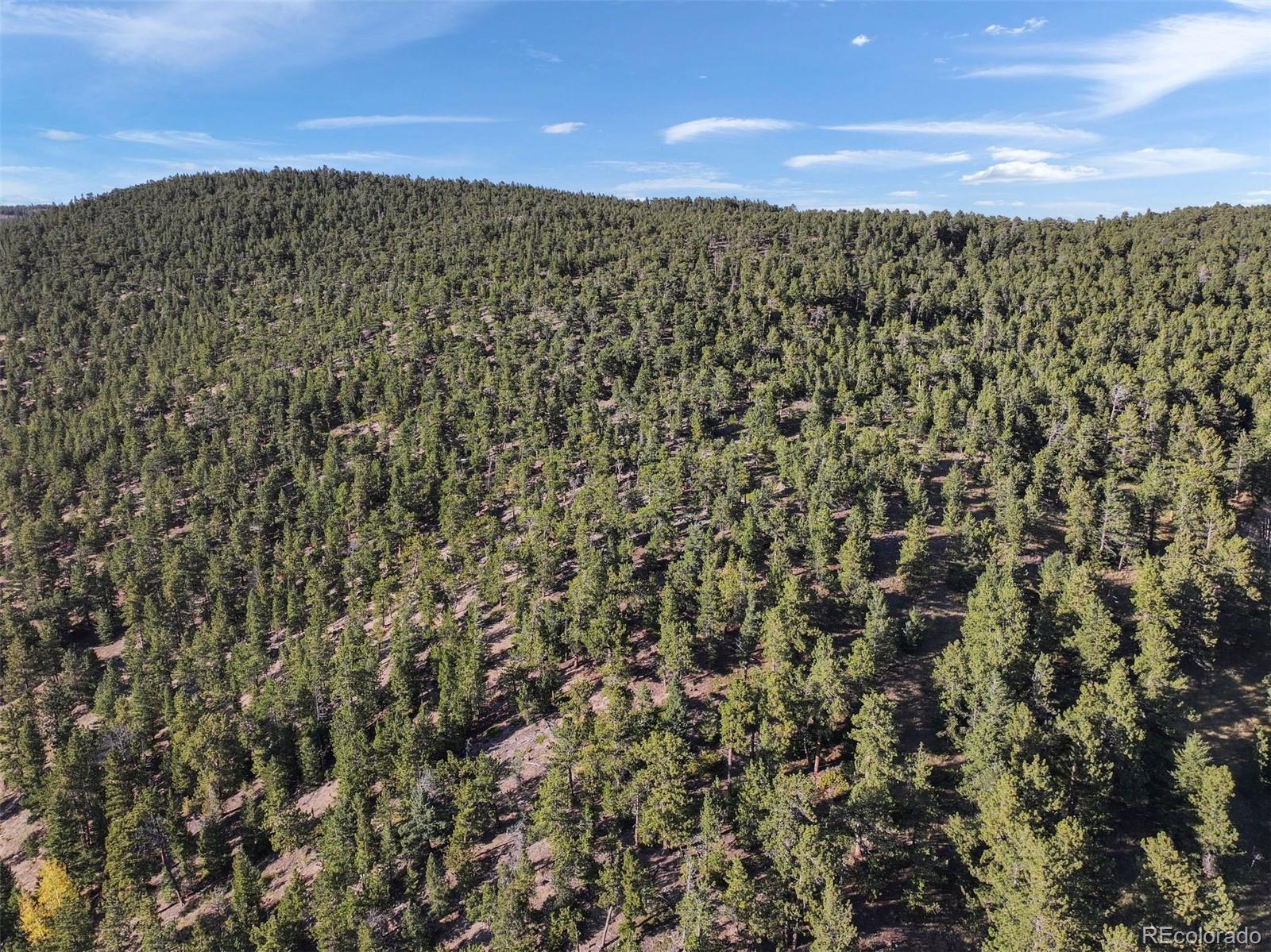 Indiana Gulch Road, Ward, CO 80481, ,Land,For Sale,Indiana Gulch,REC9490934