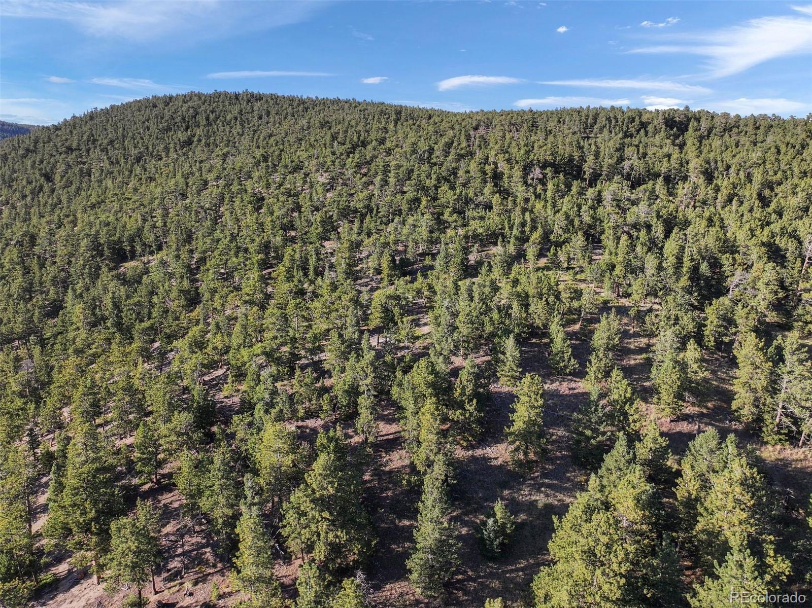 Indiana Gulch Road, Ward, CO 80481, ,Land,For Sale,Indiana Gulch,REC9490934