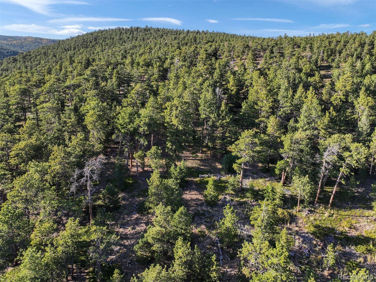 Indiana Gulch Road, Ward, CO 80481, ,Land,For Sale,Indiana Gulch,REC9490934