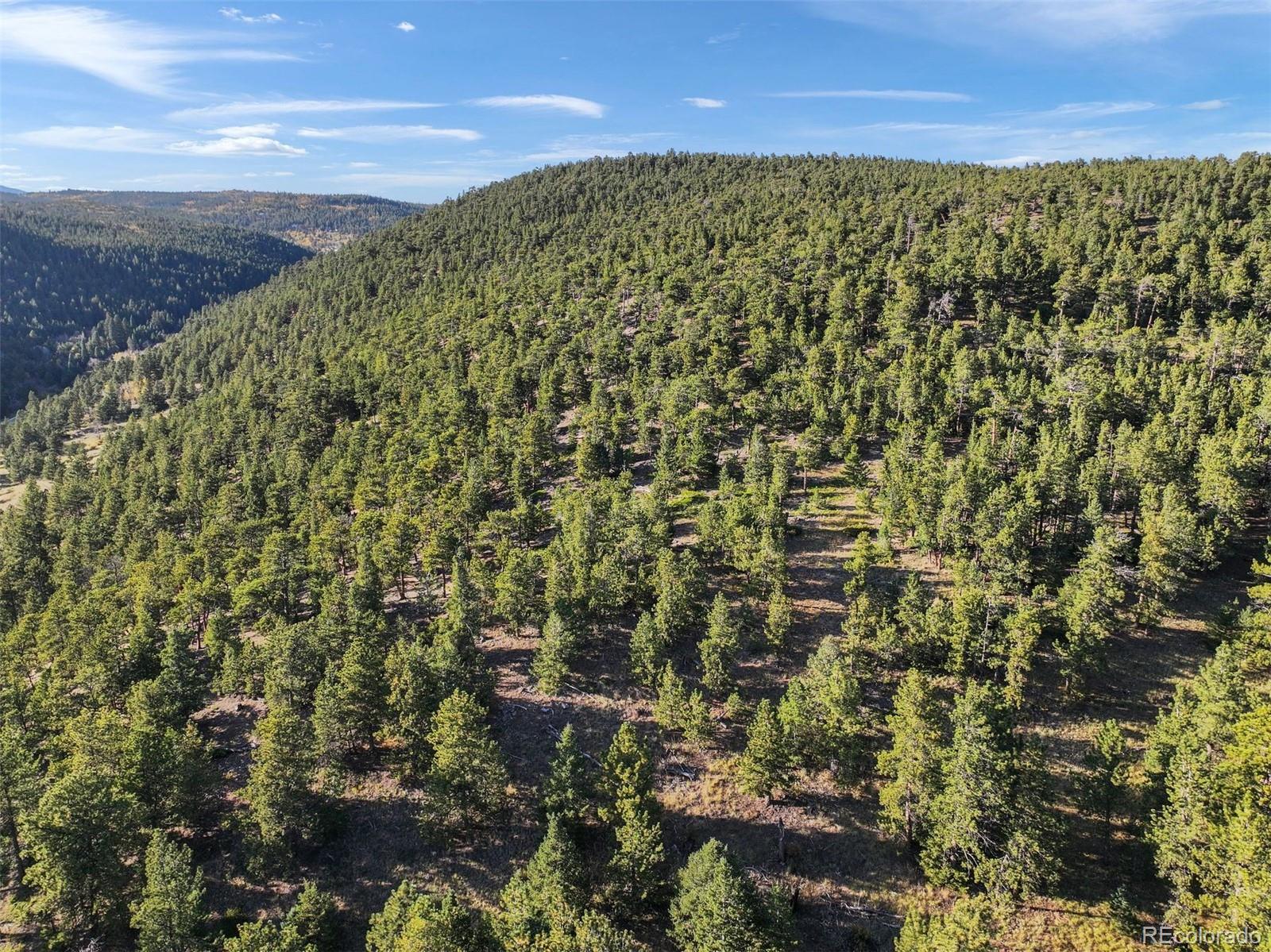 Indiana Gulch Road, Ward, CO 80481, ,Land,For Sale,Indiana Gulch,REC9490934