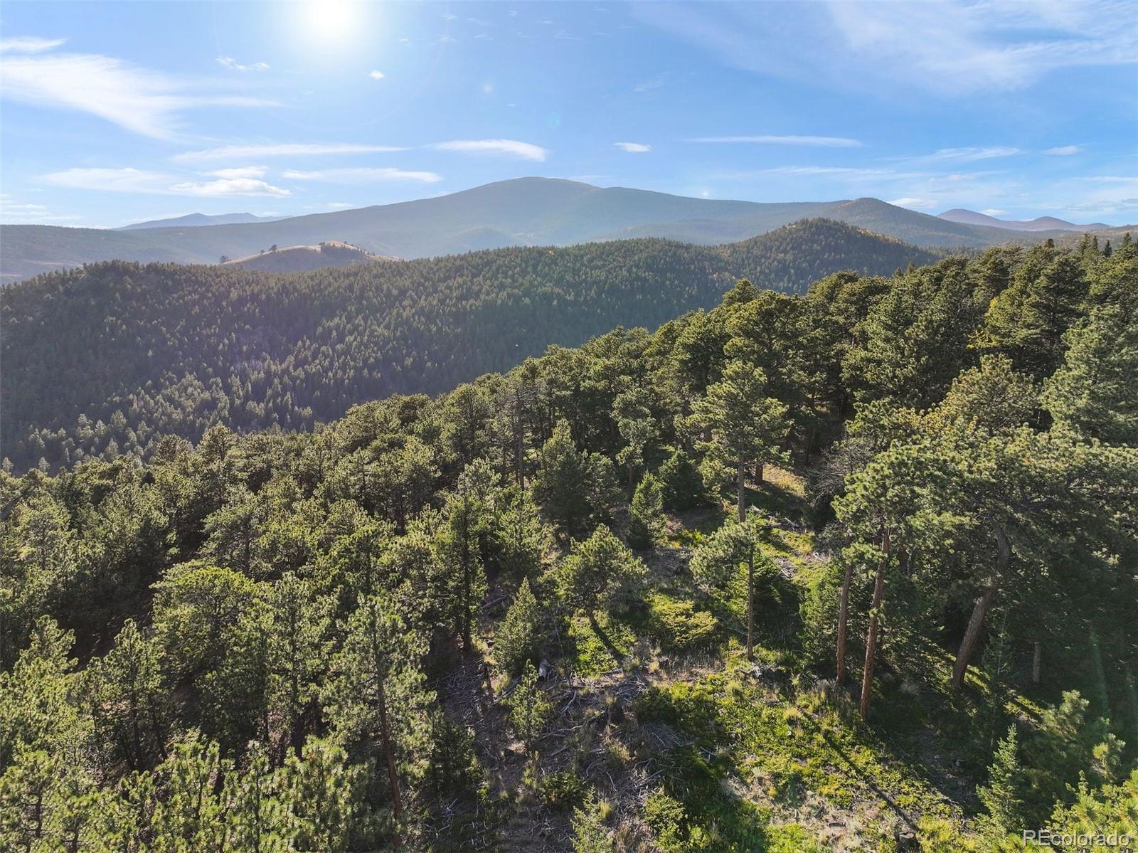Indiana Gulch Road, Ward, CO 80481, ,Land,For Sale,Indiana Gulch,REC9490934
