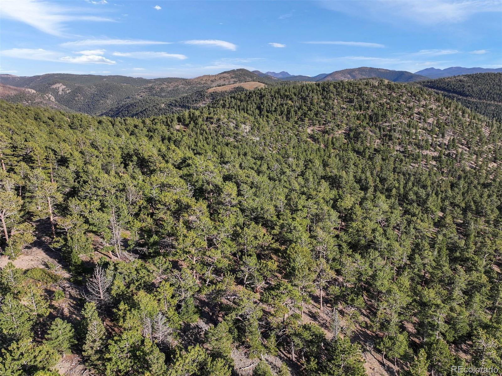 Indiana Gulch Road, Ward, CO 80481, ,Land,For Sale,Indiana Gulch,REC9490934
