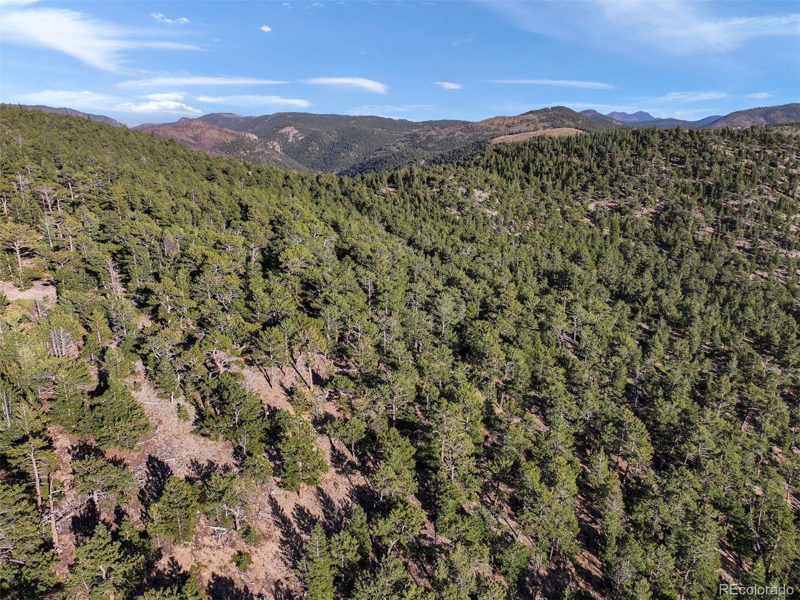 Indiana Gulch Road, Ward, CO 80481, ,Land,For Sale,Indiana Gulch,REC9490934