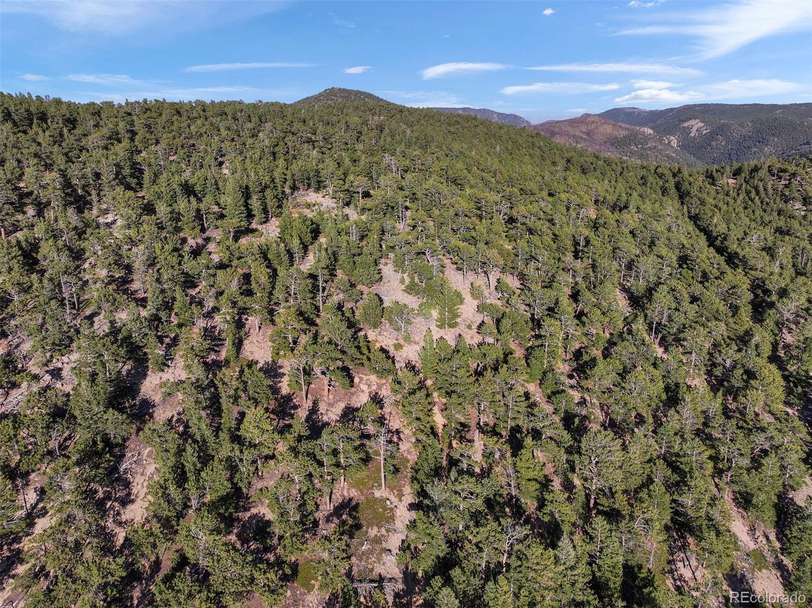 Indiana Gulch Road, Ward, CO 80481, ,Land,For Sale,Indiana Gulch,REC9490934