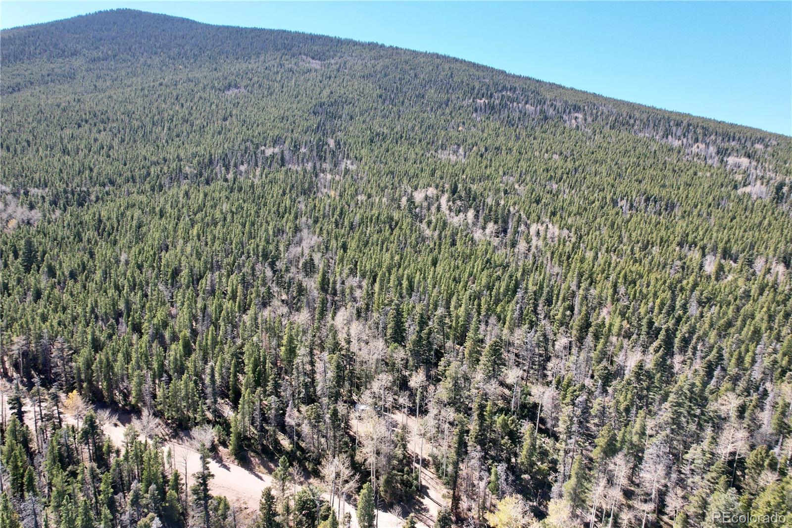 3044 Forbes Park Road, Fort Garland, CO 81133, ,Land,For Sale,Forbes Park,REC9442348