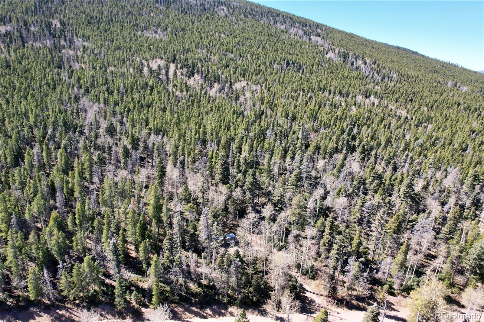 3044 Forbes Park Road, Fort Garland, CO 81133, ,Land,For Sale,Forbes Park,REC9442348