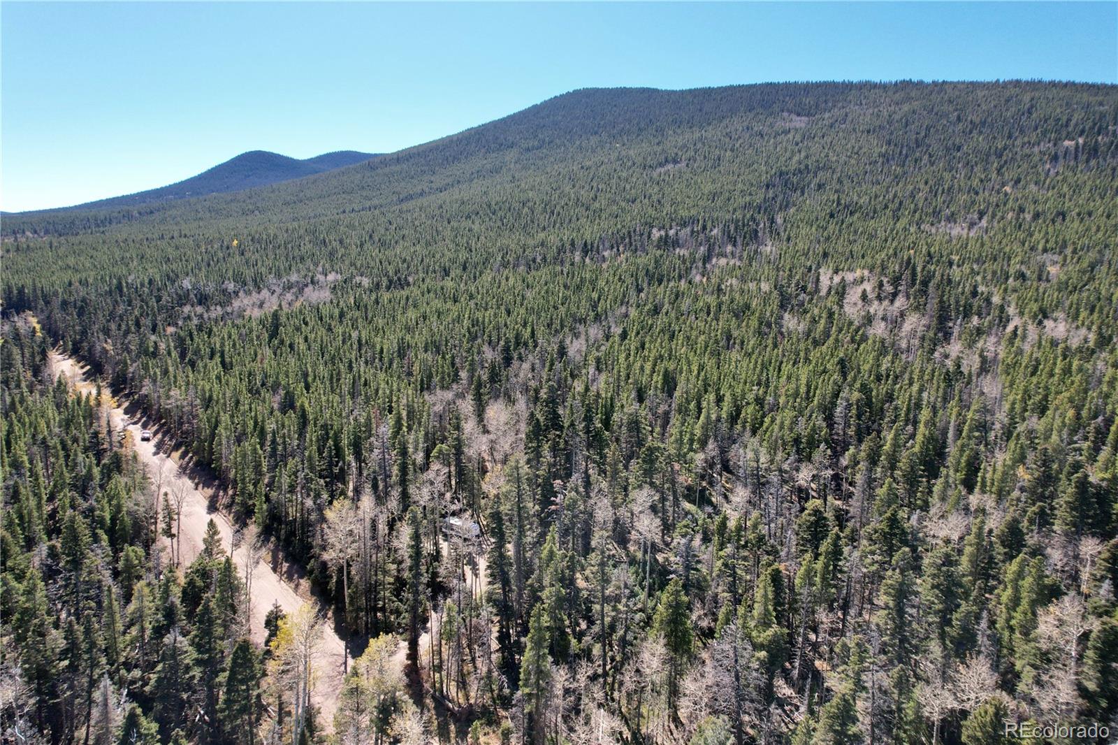 3044 Forbes Park Road, Fort Garland, CO 81133, ,Land,For Sale,Forbes Park,REC9442348