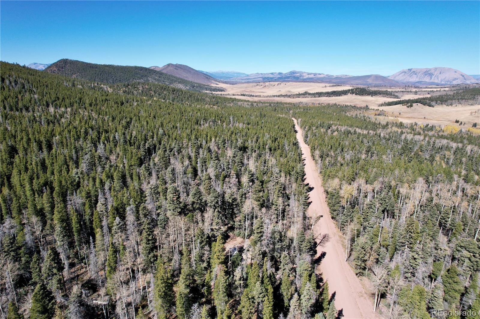 3044 Forbes Park Road, Fort Garland, CO 81133, ,Land,For Sale,Forbes Park,REC9442348