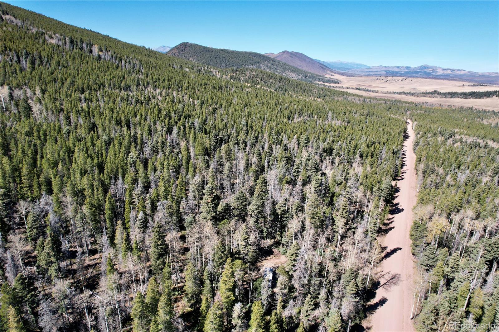 3044 Forbes Park Road, Fort Garland, CO 81133, ,Land,For Sale,Forbes Park,REC9442348