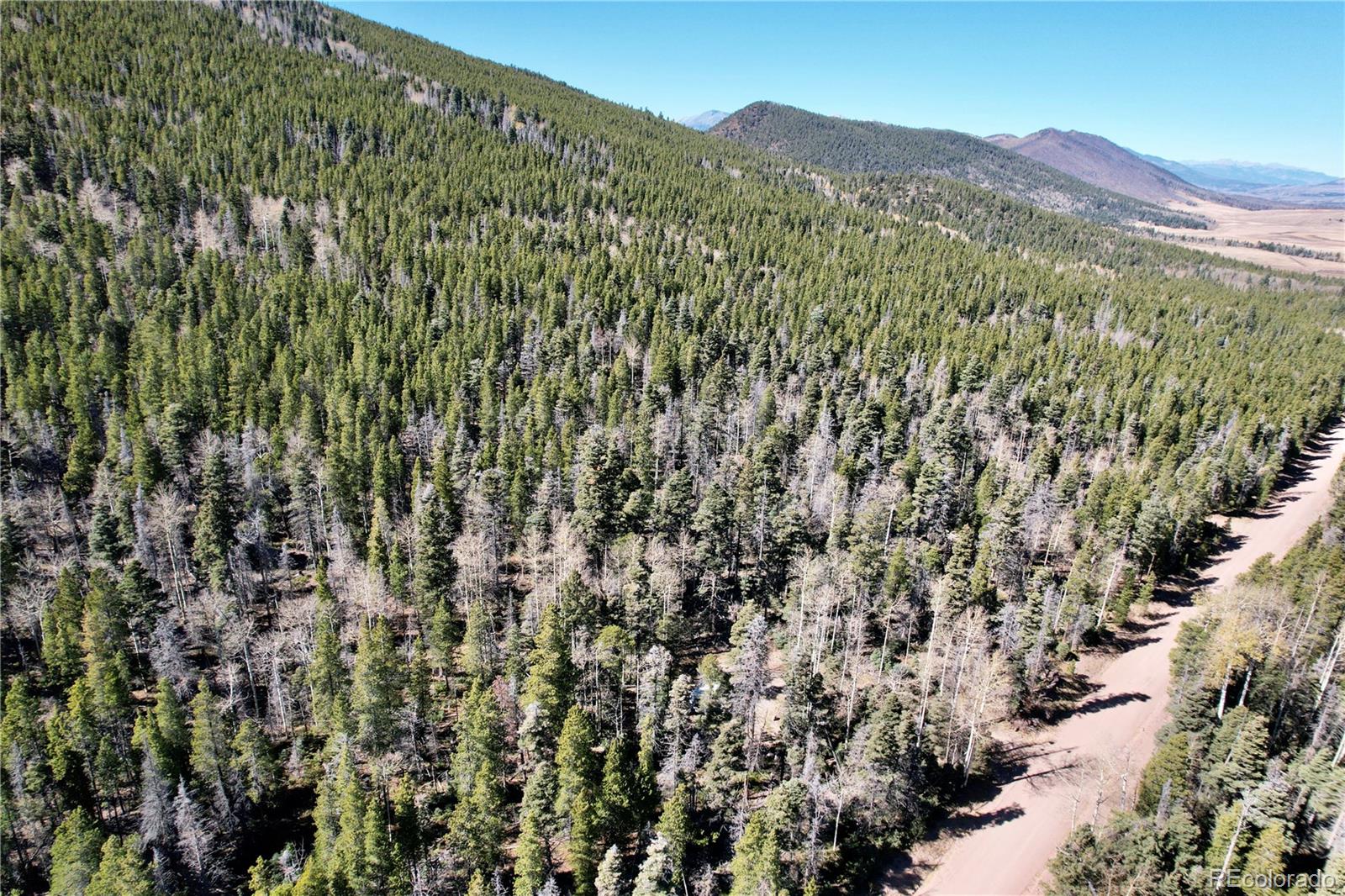 3044 Forbes Park Road, Fort Garland, CO 81133, ,Land,For Sale,Forbes Park,REC9442348