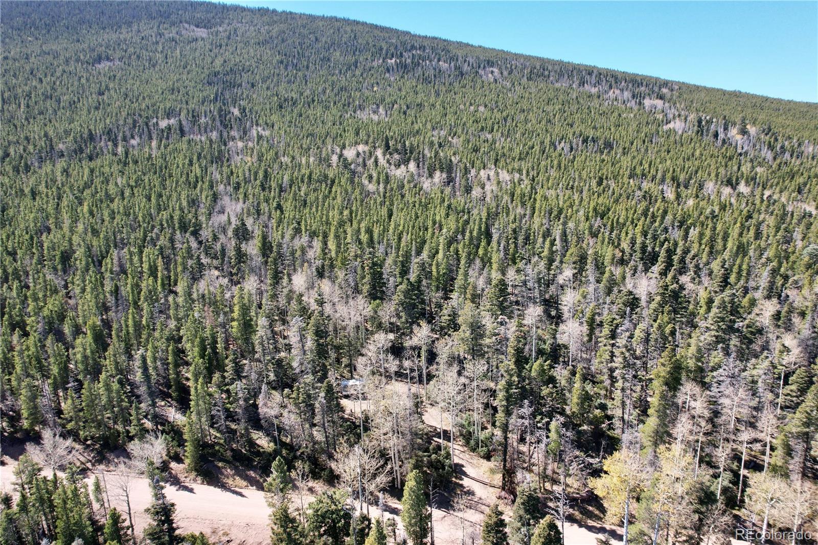 3044 Forbes Park Road, Fort Garland, CO 81133, ,Land,For Sale,Forbes Park,REC9442348