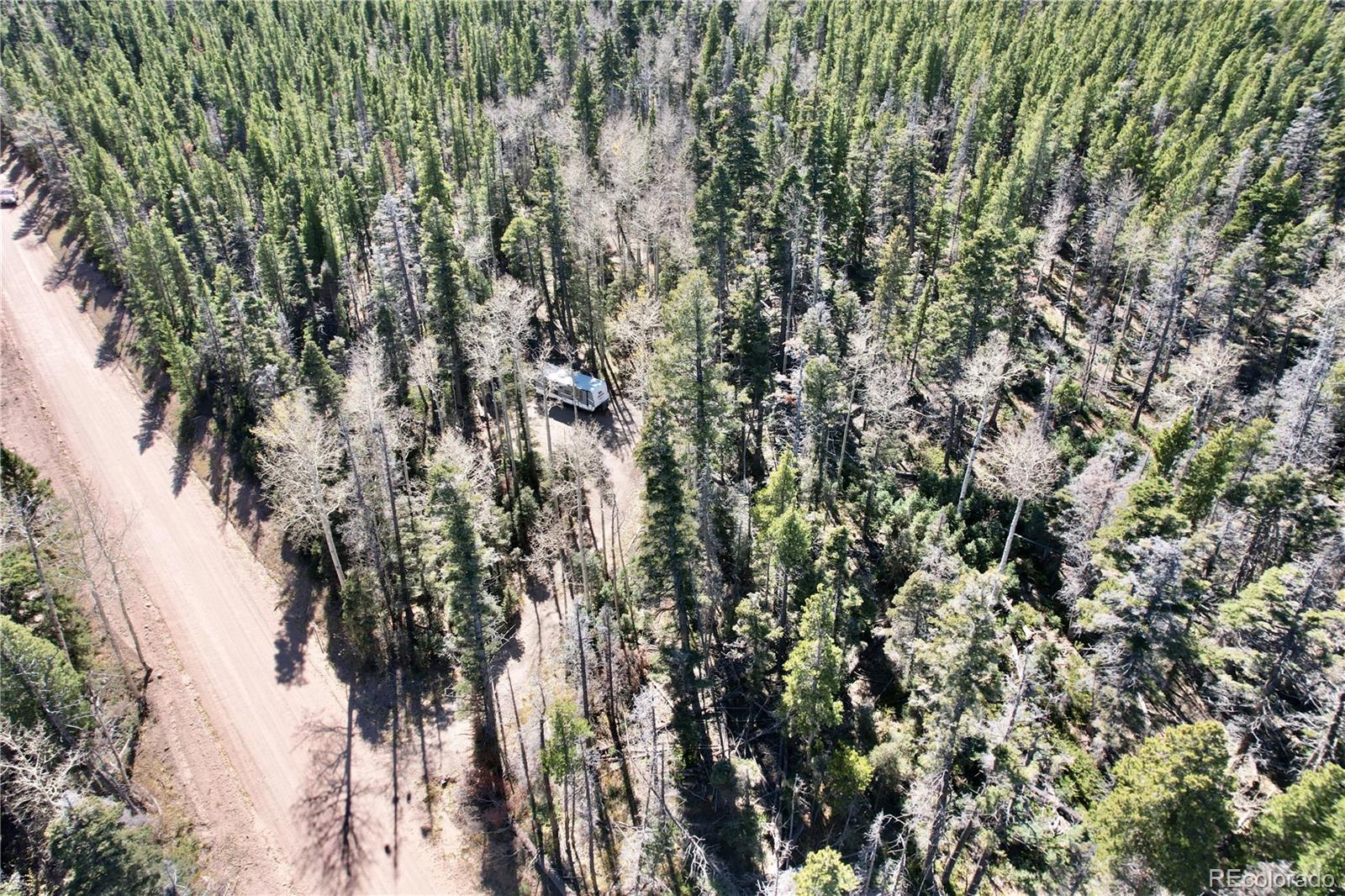3044 Forbes Park Road, Fort Garland, CO 81133, ,Land,For Sale,Forbes Park,REC9442348