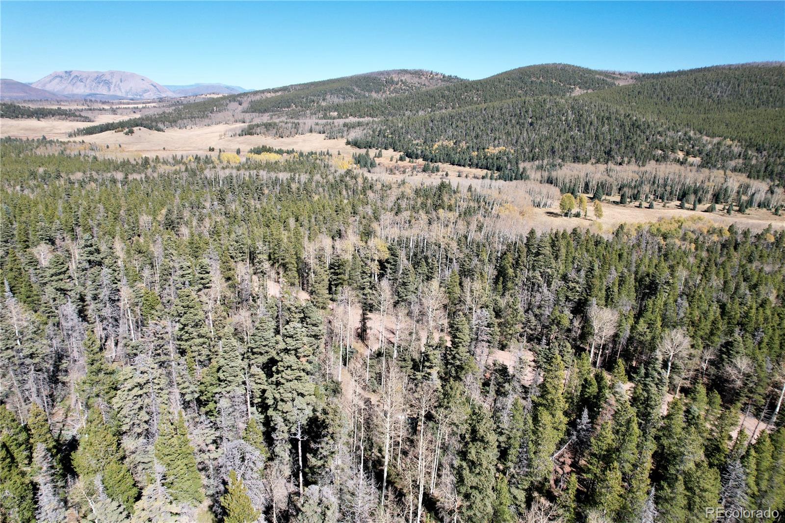 3044 Forbes Park Road, Fort Garland, CO 81133, ,Land,For Sale,Forbes Park,REC9442348