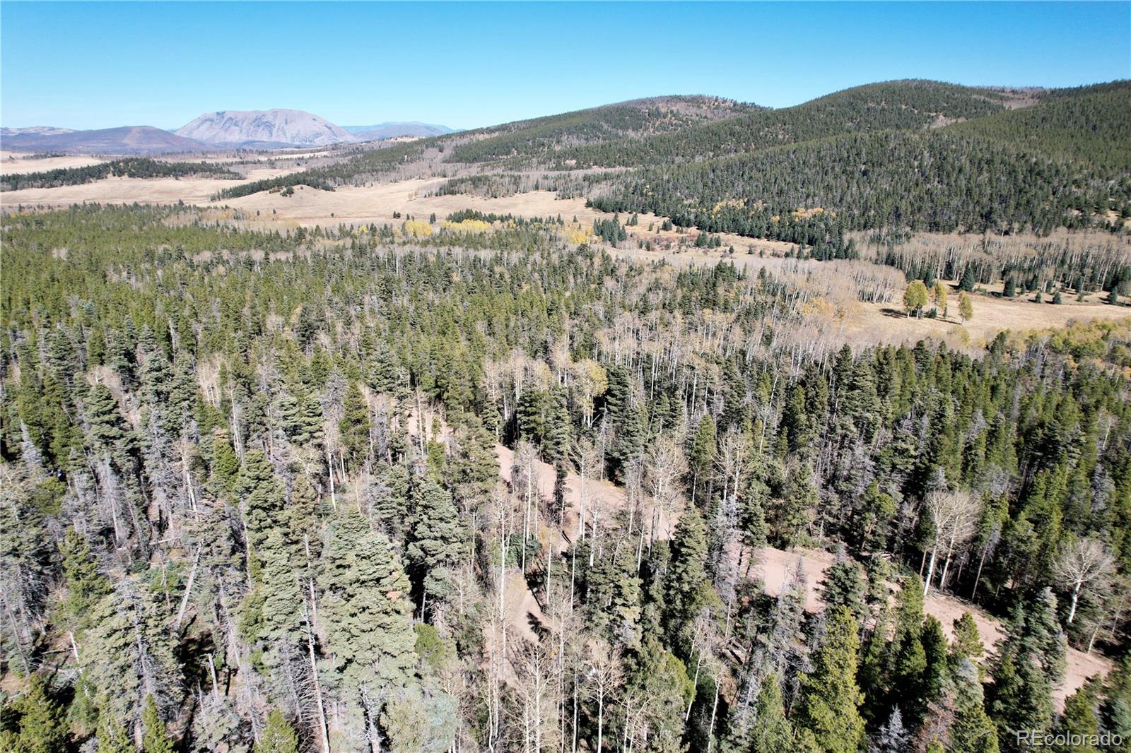 3044 Forbes Park Road, Fort Garland, CO 81133, ,Land,For Sale,Forbes Park,REC9442348