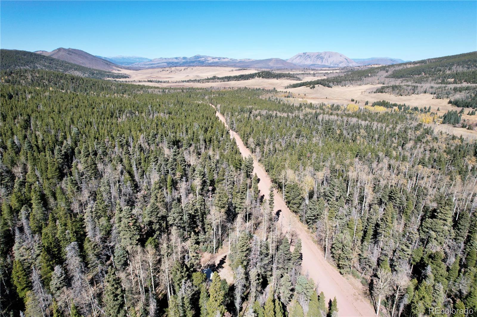 3044 Forbes Park Road, Fort Garland, CO 81133, ,Land,For Sale,Forbes Park,REC9442348