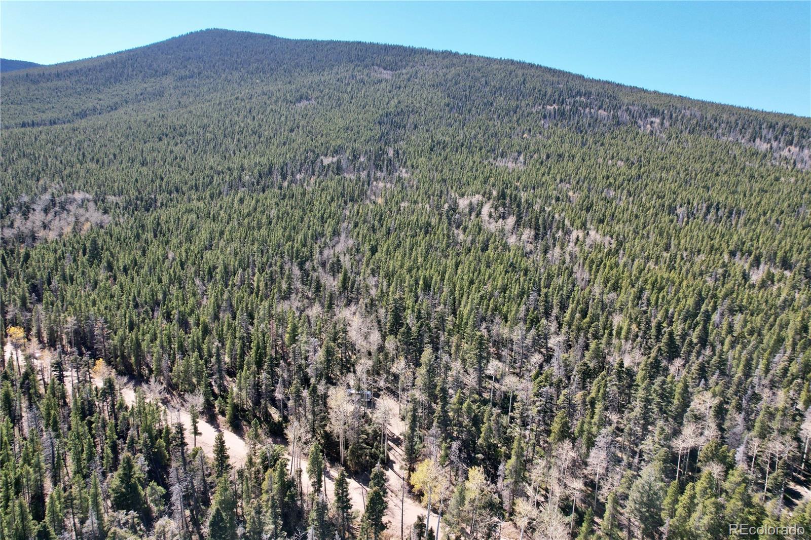 3044 Forbes Park Road, Fort Garland, CO 81133, ,Land,For Sale,Forbes Park,REC9442348