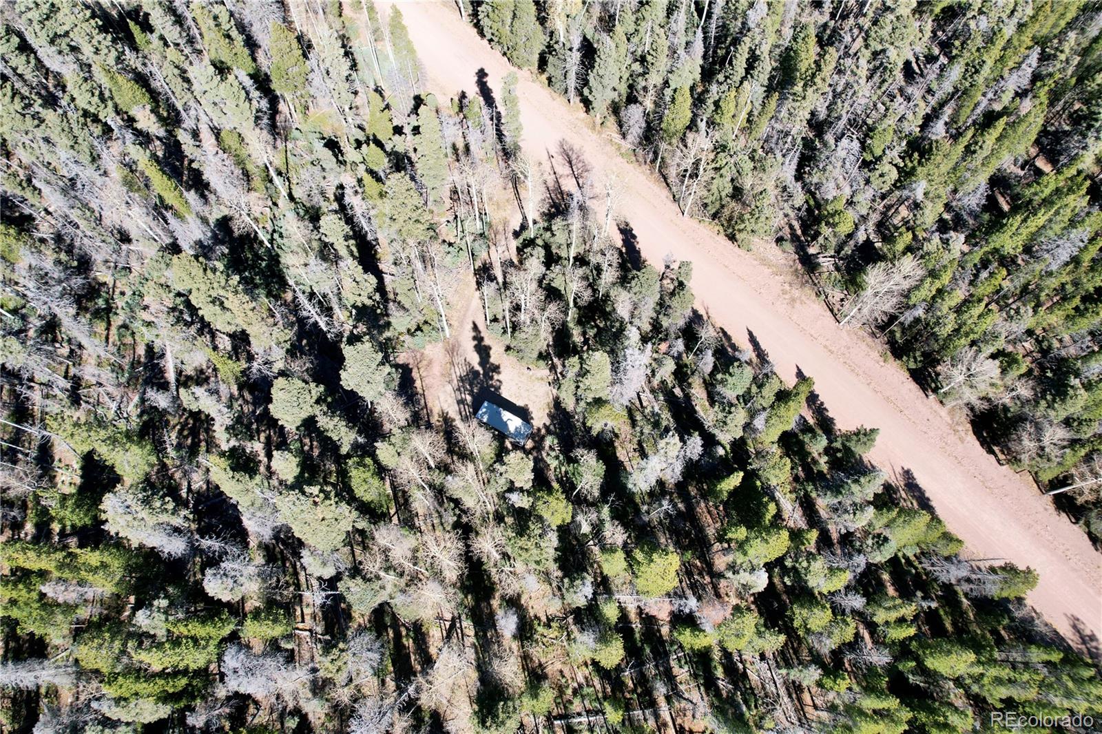 3044 Forbes Park Road, Fort Garland, CO 81133, ,Land,For Sale,Forbes Park,REC9442348