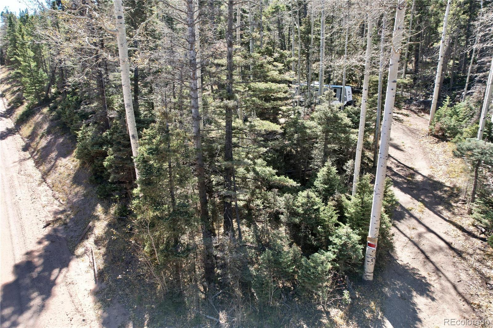 3044 Forbes Park Road, Fort Garland, CO 81133, ,Land,For Sale,Forbes Park,REC9442348