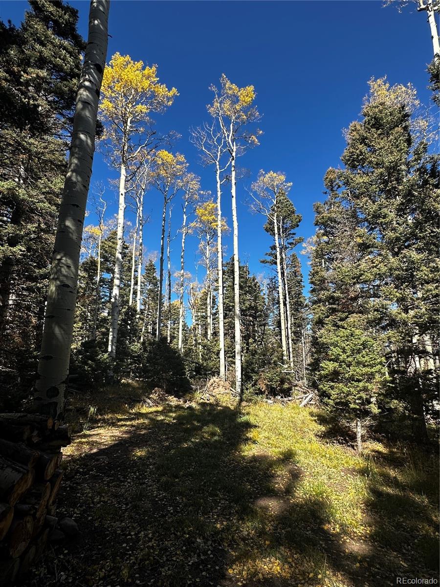 3076 Henderson Drive, Fort Garland, CO 81133, ,Land,For Sale,Henderson,REC7993797