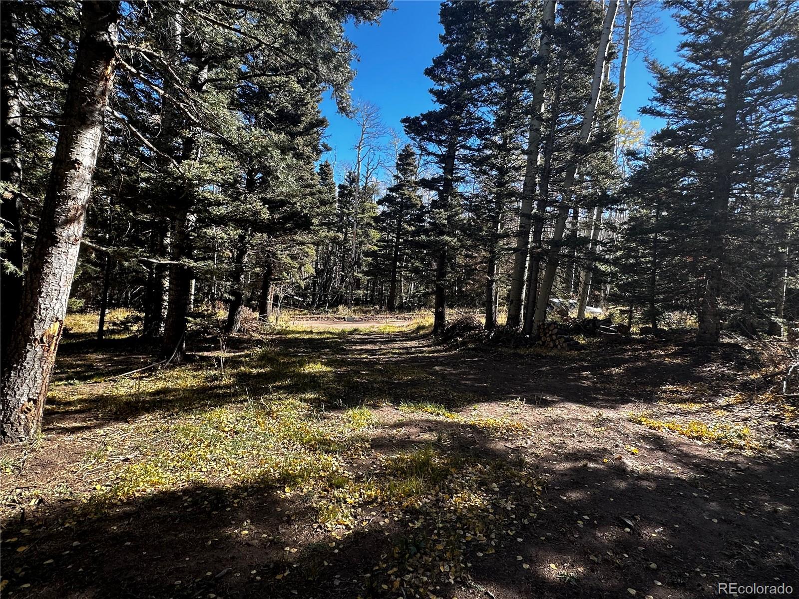 3076 Henderson Drive, Fort Garland, CO 81133, ,Land,For Sale,Henderson,REC7993797