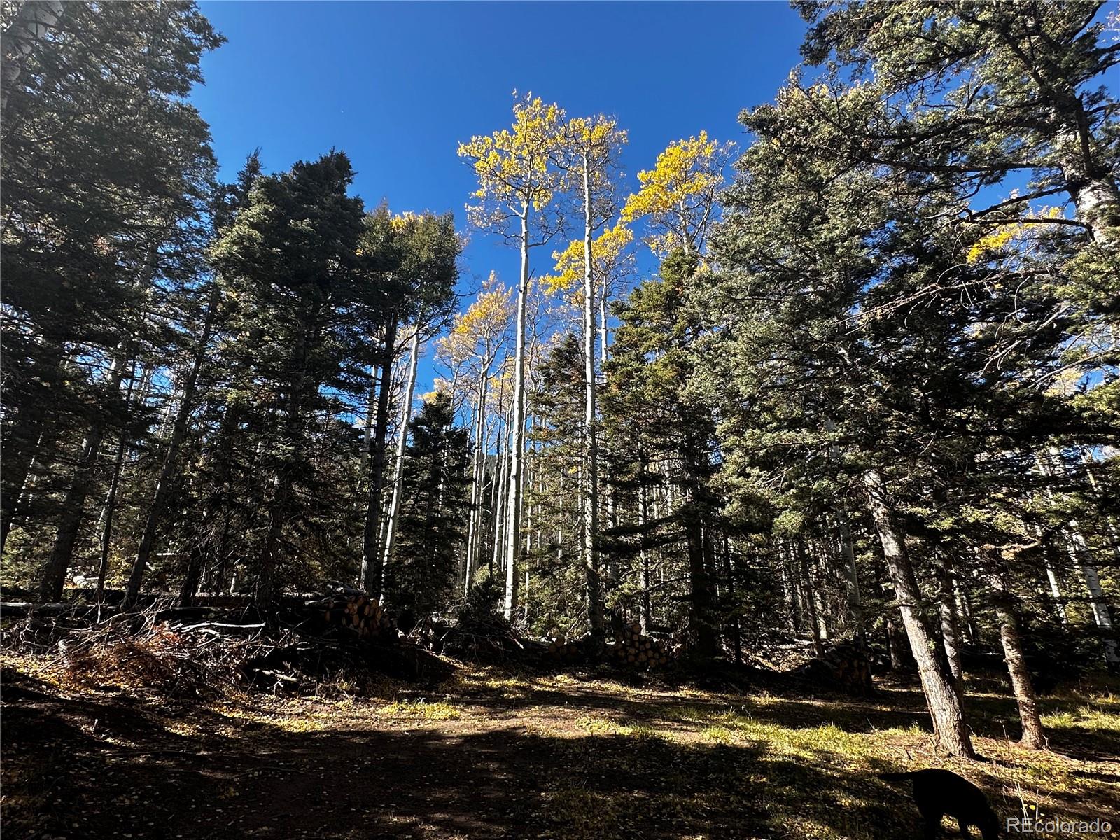 3076 Henderson Drive, Fort Garland, CO 81133, ,Land,For Sale,Henderson,REC7993797