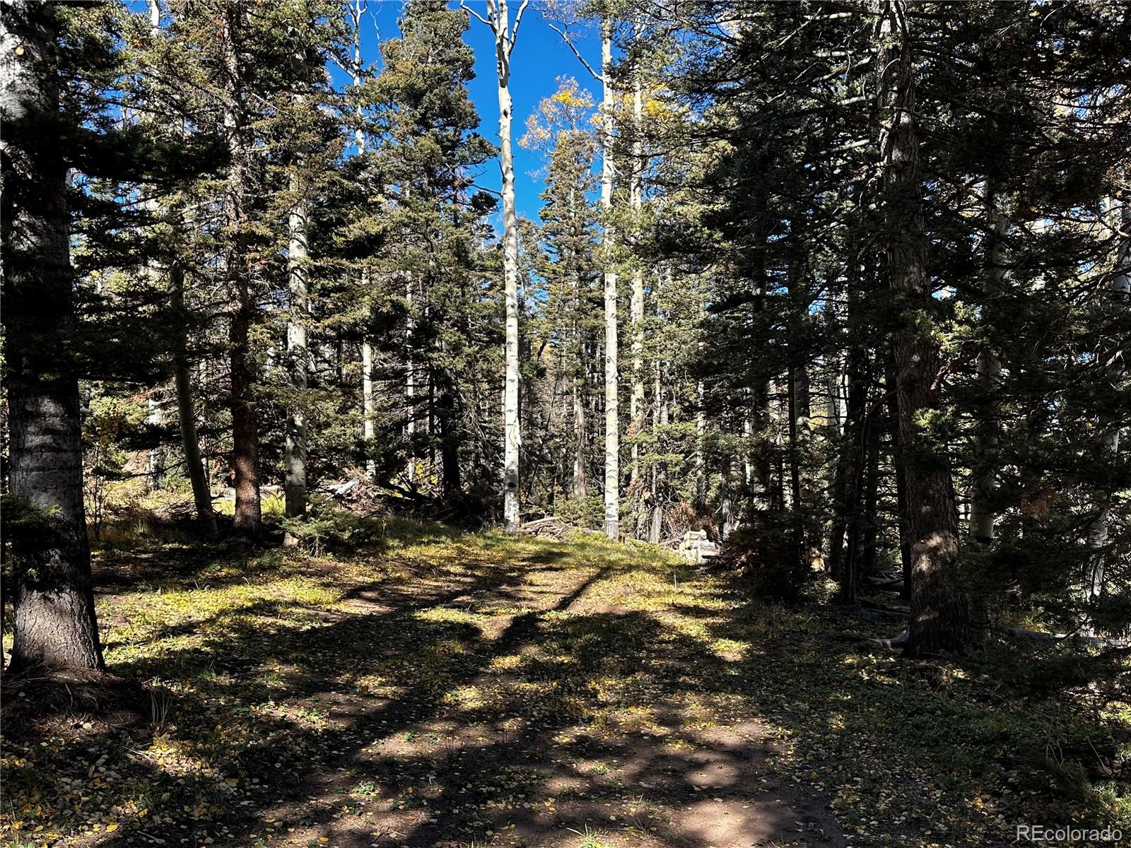 3076 Henderson Drive, Fort Garland, CO 81133, ,Land,For Sale,Henderson,REC7993797