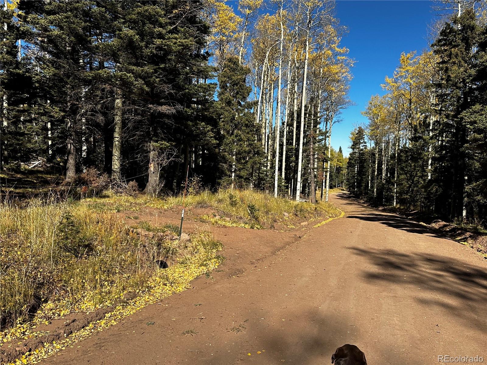 3076 Henderson Drive, Fort Garland, CO 81133, ,Land,For Sale,Henderson,REC7993797
