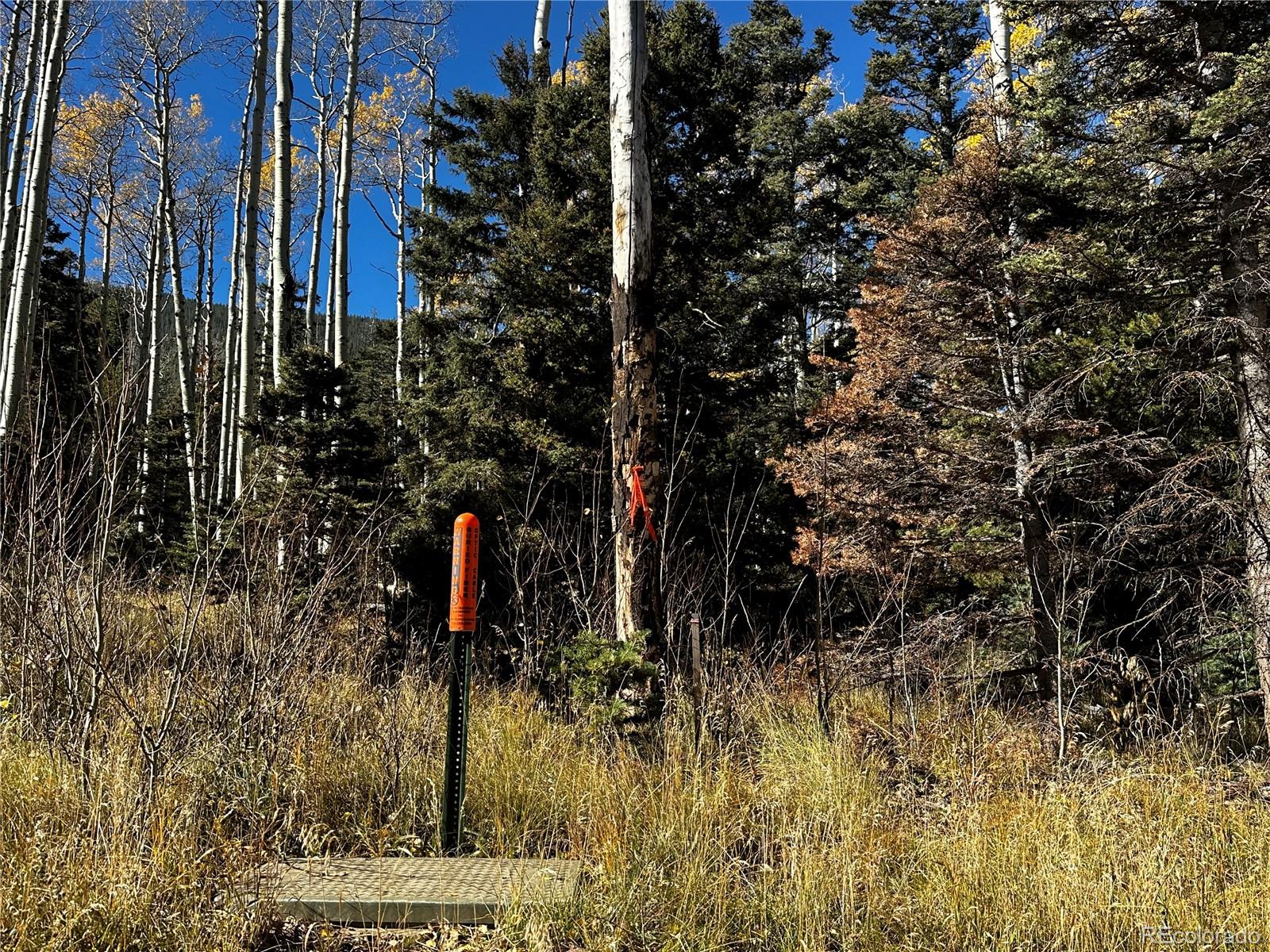 3076 Henderson Drive, Fort Garland, CO 81133, ,Land,For Sale,Henderson,REC7993797