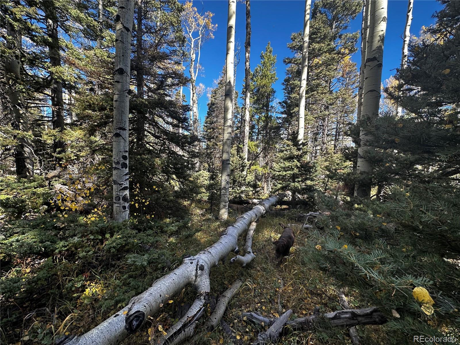 3076 Henderson Drive, Fort Garland, CO 81133, ,Land,For Sale,Henderson,REC7993797