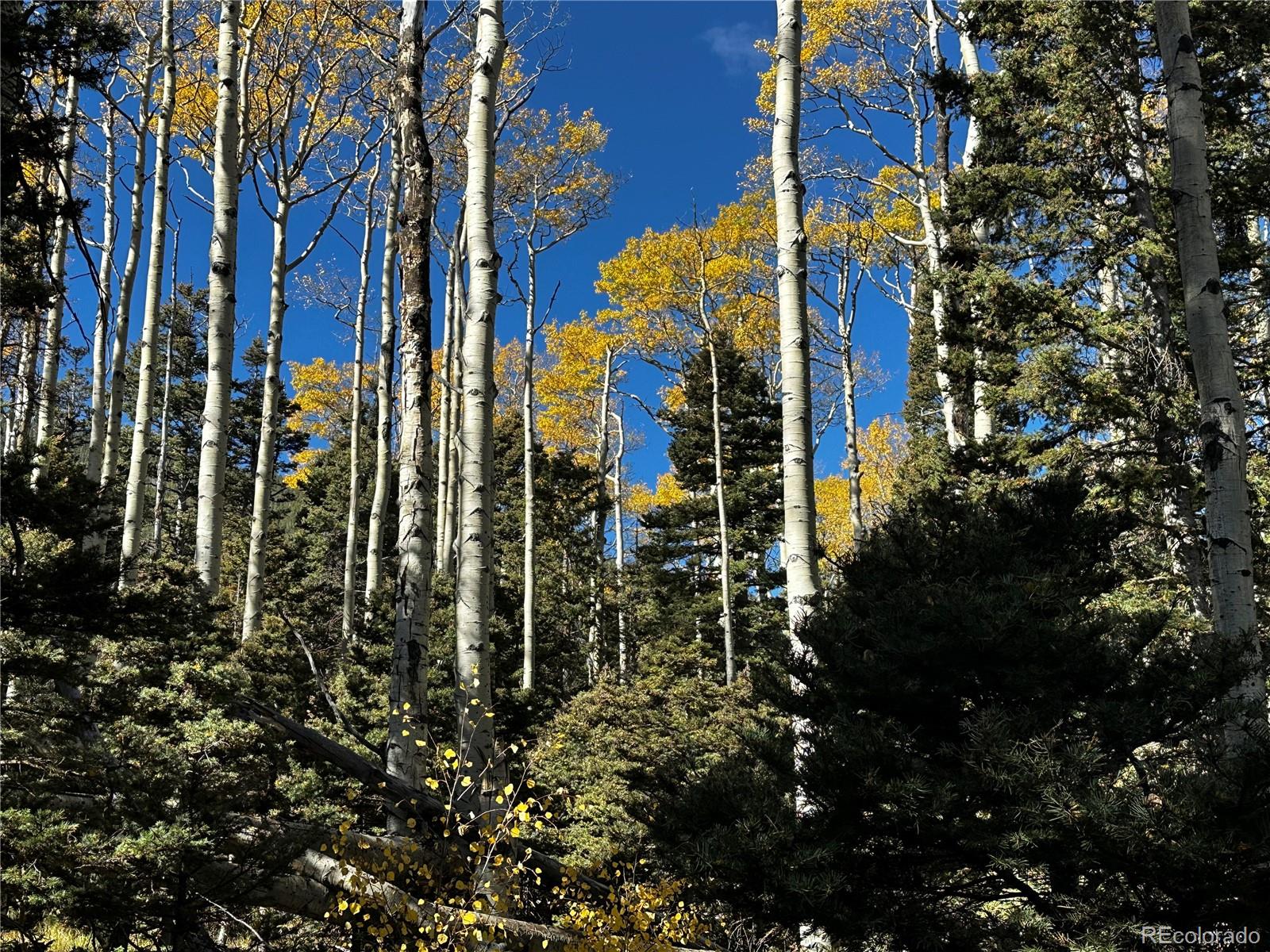 3076 Henderson Drive, Fort Garland, CO 81133, ,Land,For Sale,Henderson,REC7993797