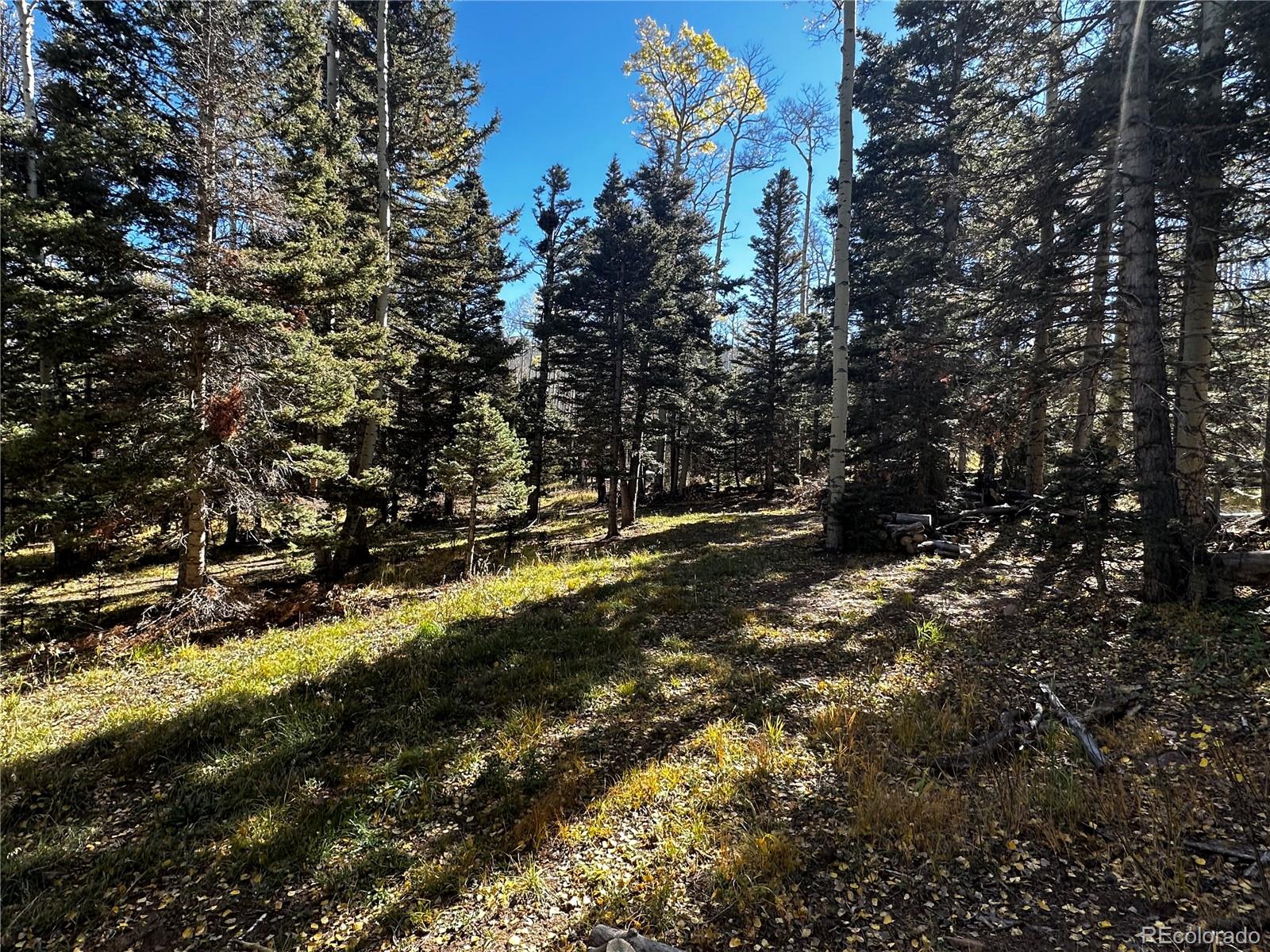 3076 Henderson Drive, Fort Garland, CO 81133, ,Land,For Sale,Henderson,REC7993797