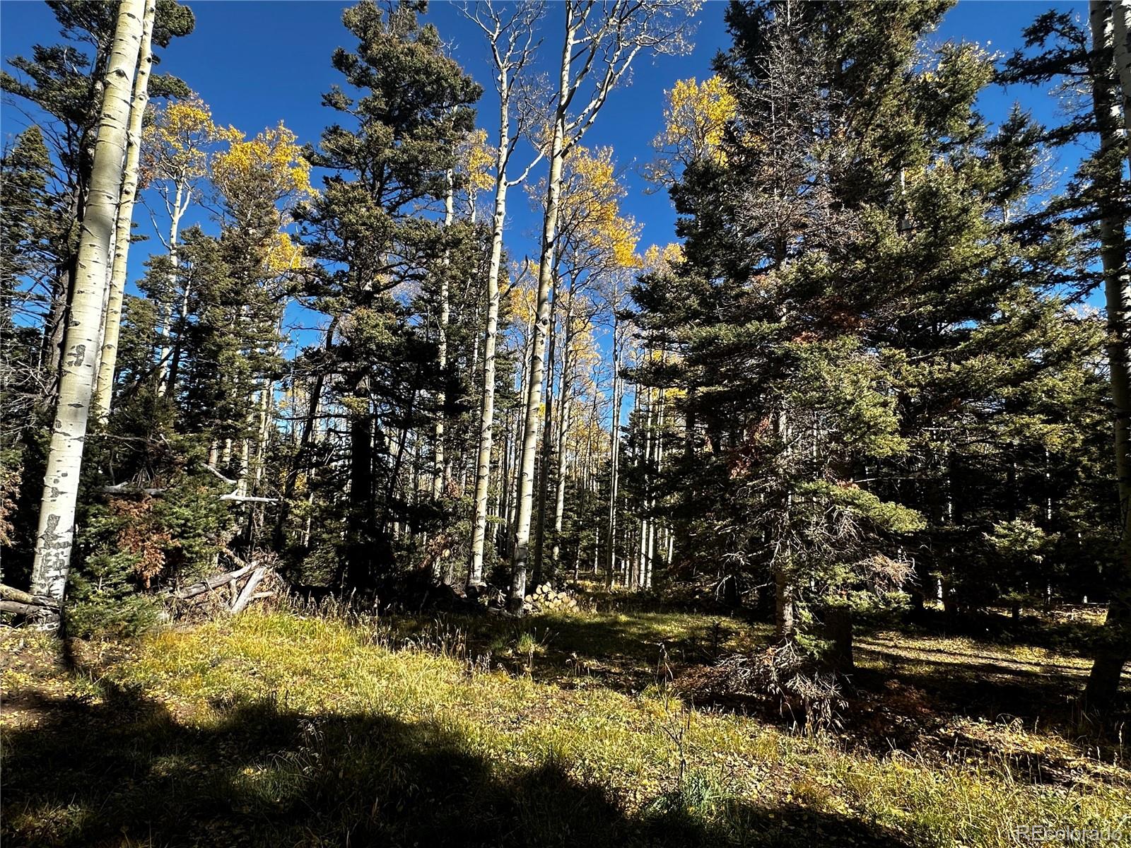 3076 Henderson Drive, Fort Garland, CO 81133, ,Land,For Sale,Henderson,REC7993797