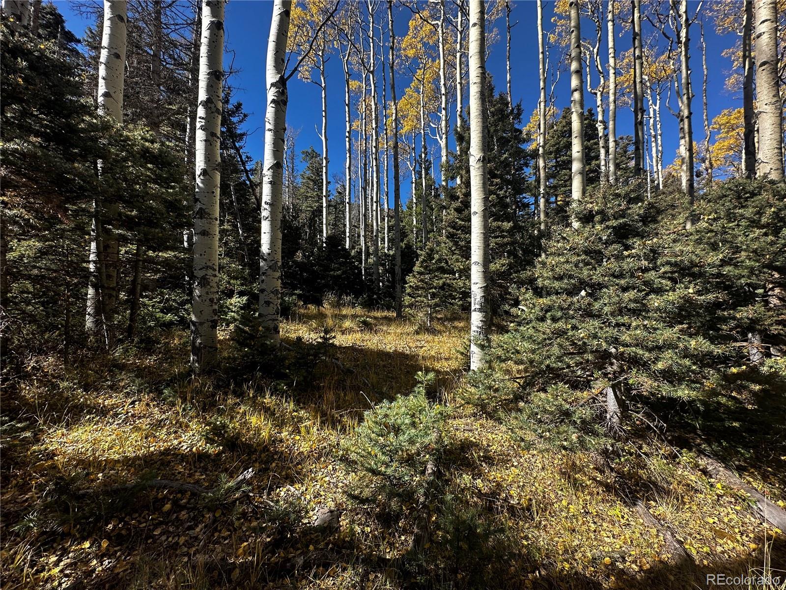 3076 Henderson Drive, Fort Garland, CO 81133, ,Land,For Sale,Henderson,REC7993797