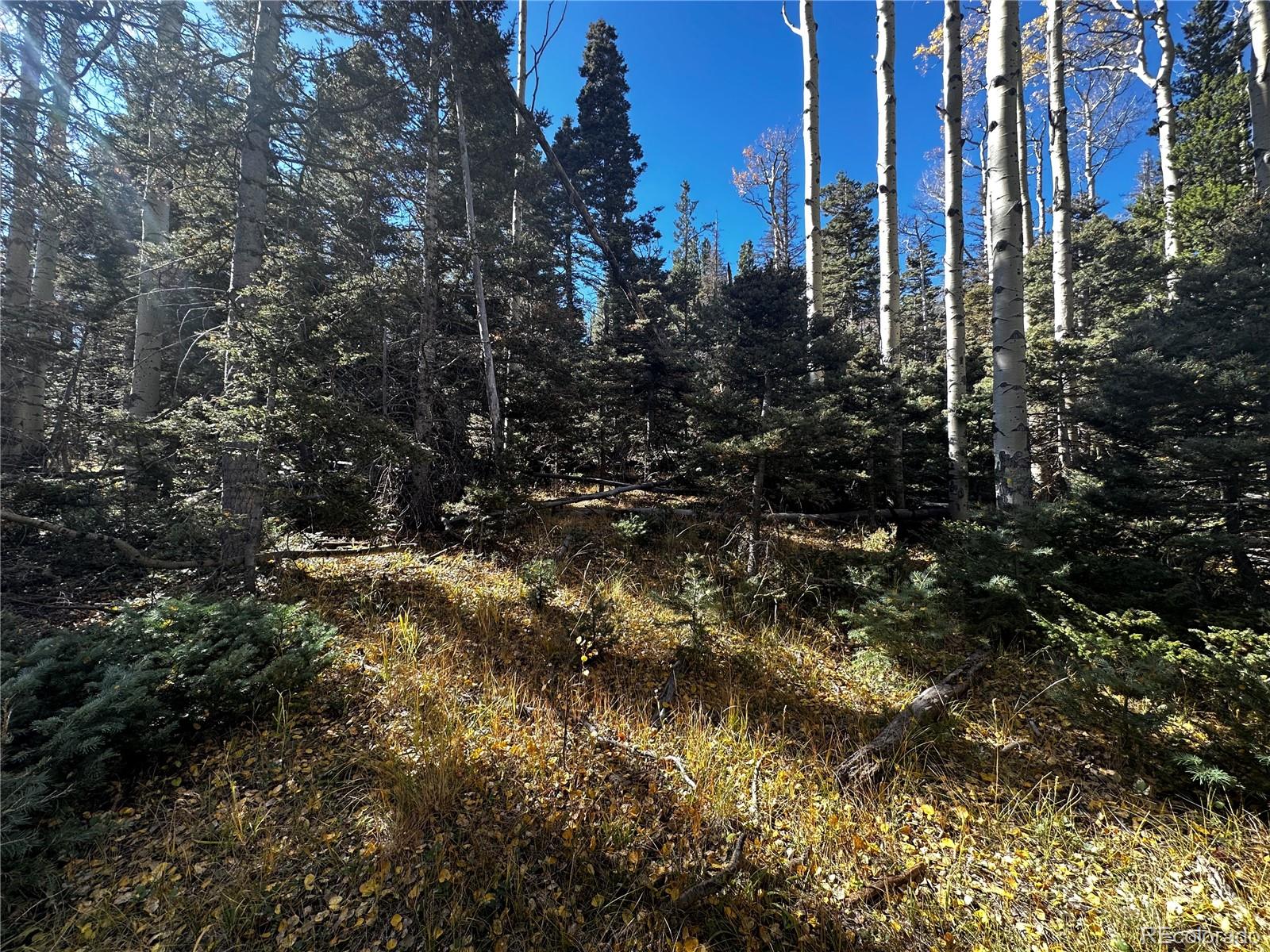 3076 Henderson Drive, Fort Garland, CO 81133, ,Land,For Sale,Henderson,REC7993797