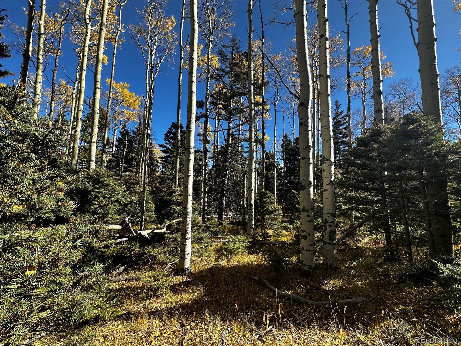 3076 Henderson Drive, Fort Garland, CO 81133, ,Land,For Sale,Henderson,REC7993797
