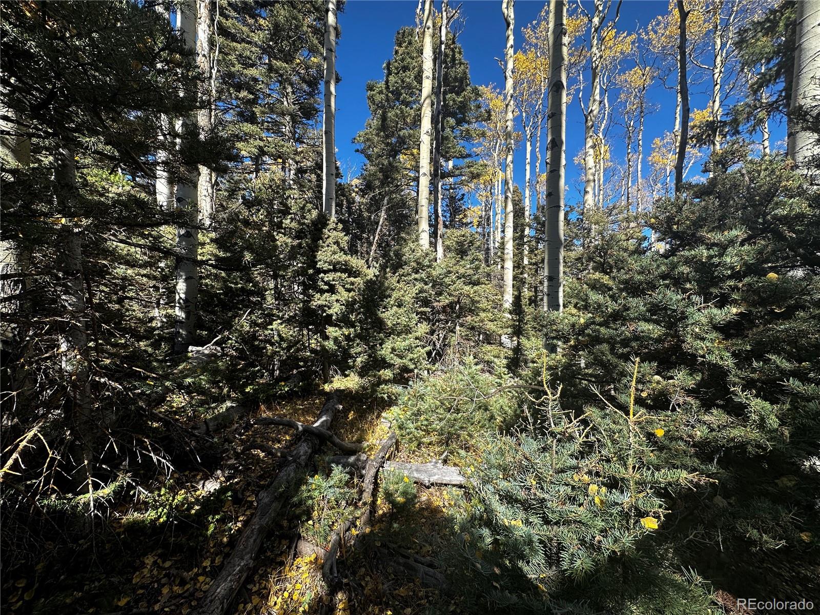 3076 Henderson Drive, Fort Garland, CO 81133, ,Land,For Sale,Henderson,REC7993797