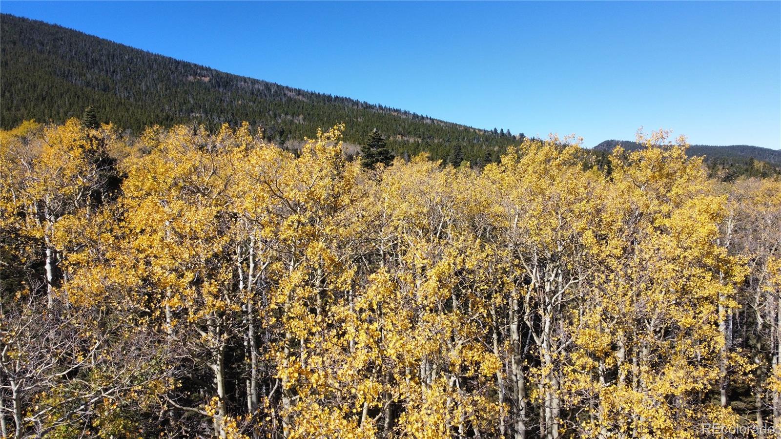 3076 Henderson Drive, Fort Garland, CO 81133, ,Land,For Sale,Henderson,REC7993797