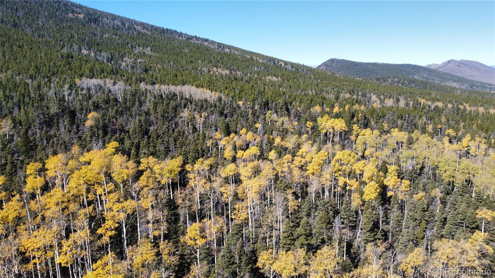 3076 Henderson Drive, Fort Garland, CO 81133, ,Land,For Sale,Henderson,REC7993797