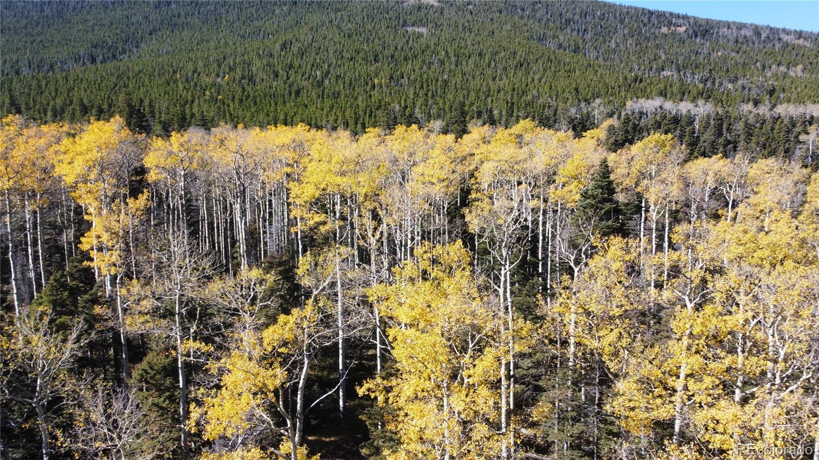 3076 Henderson Drive, Fort Garland, CO 81133, ,Land,For Sale,Henderson,REC7993797