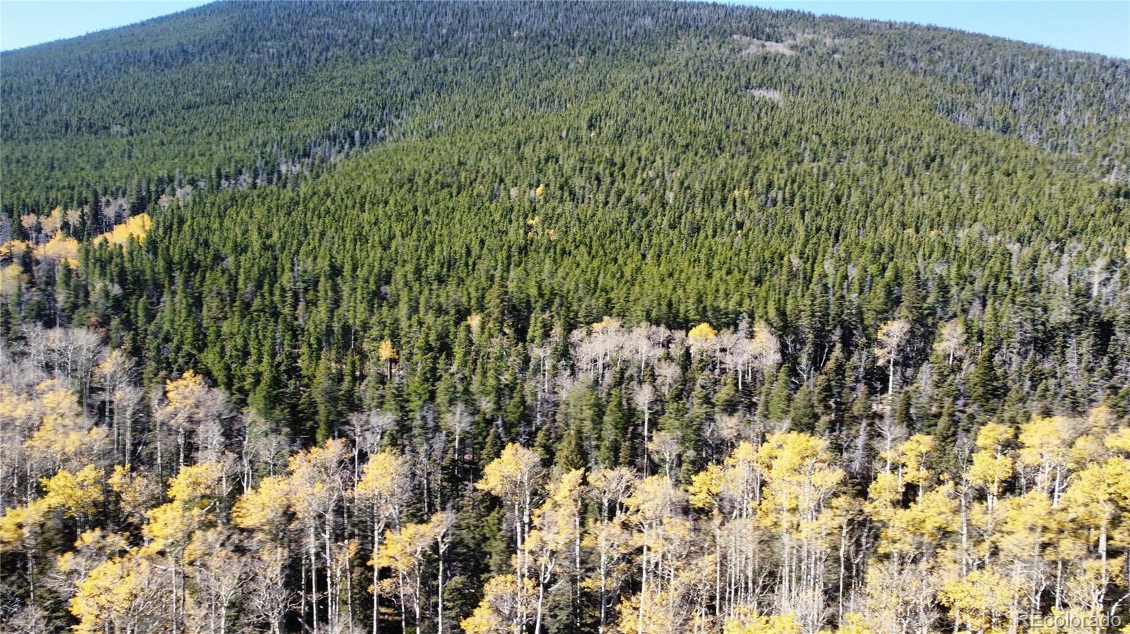 3076 Henderson Drive, Fort Garland, CO 81133, ,Land,For Sale,Henderson,REC7993797